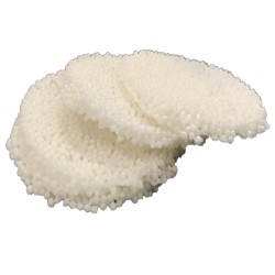 Satvik Sabudana Papad, 100g Upwas Friendly Papads, Tapioca Papads